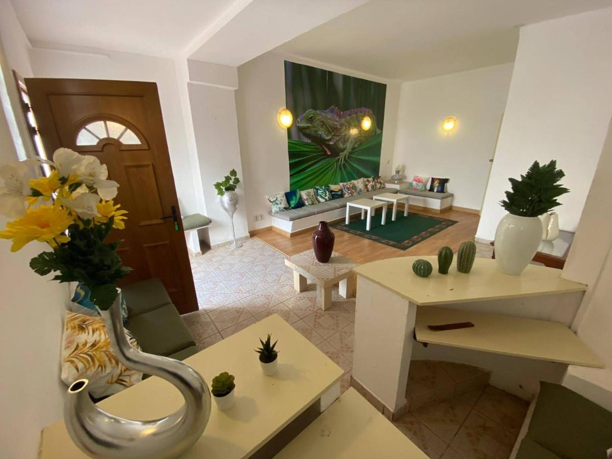 Iguana Guesthouse Lagos Kültér fotó