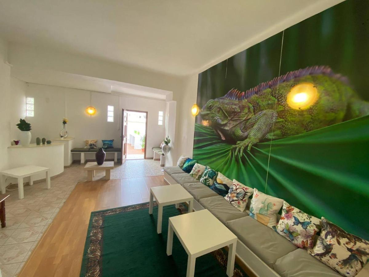 Iguana Guesthouse Lagos Kültér fotó